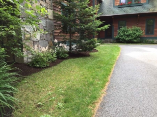 Landscaping
